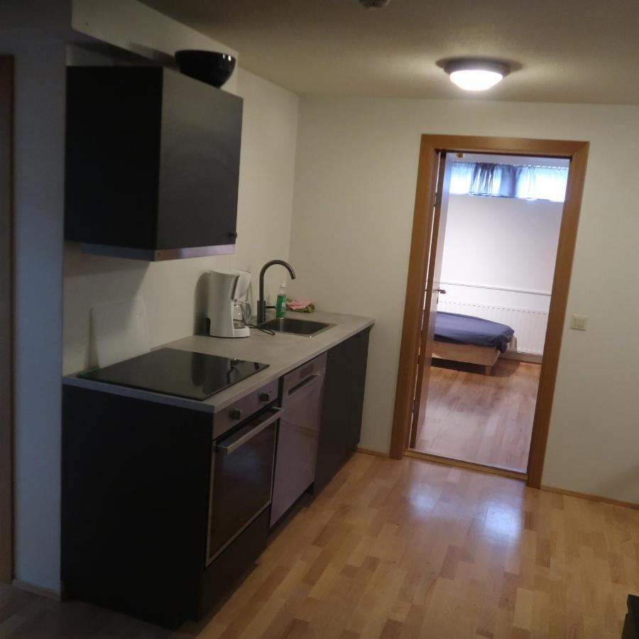 Large Apartment Close To The Centre Reykjavík Kültér fotó